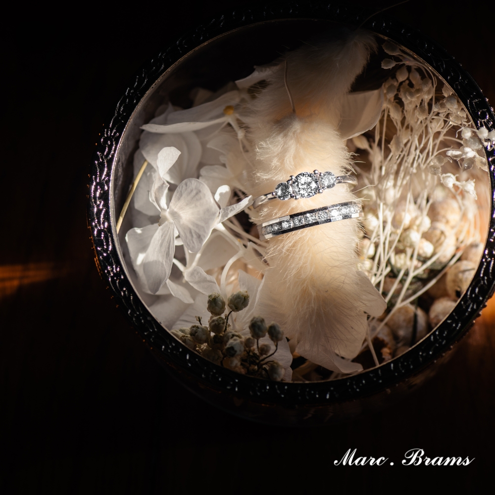 Sans titre (1000 x 1000 px) (1000 x 1000 px) (5)