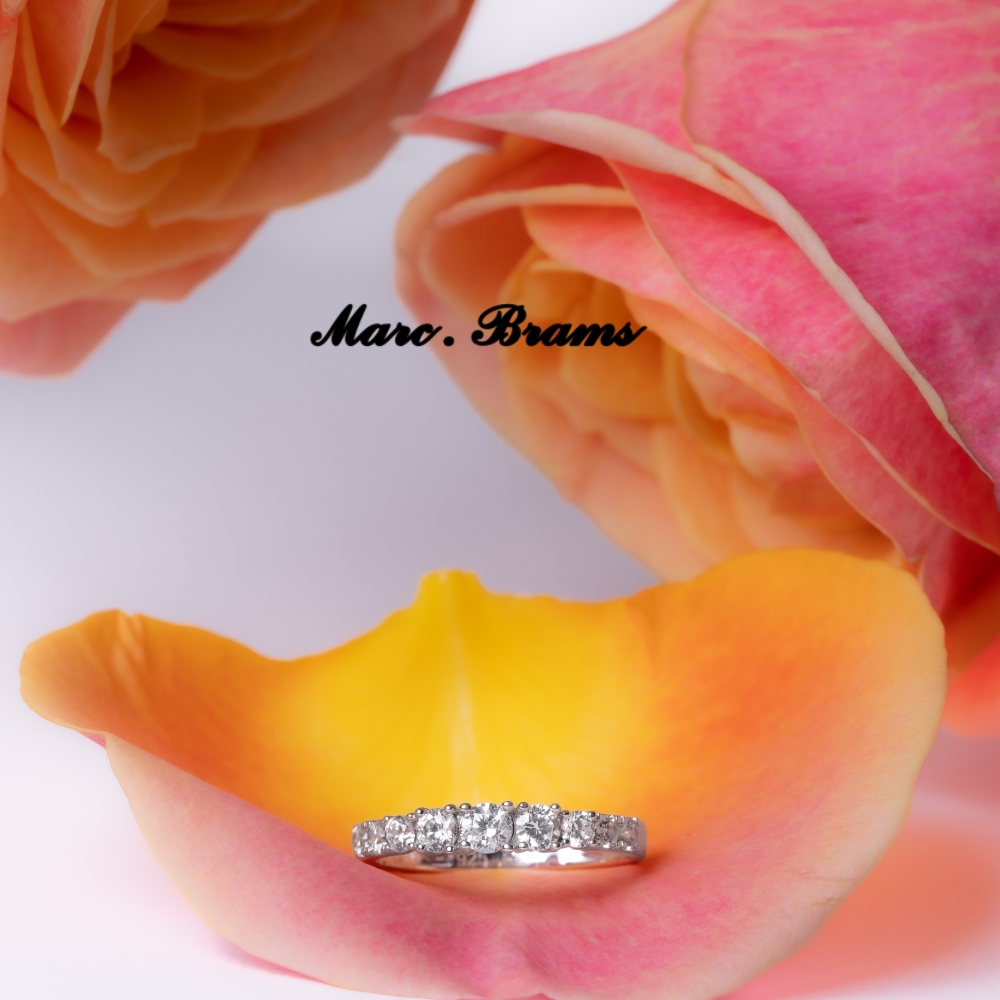 Sans titre (1000 x 1000 px) (1000 x 1000 px) (6)