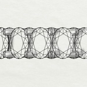 WhatsApp Image 2025-08-29 at 11.39.11