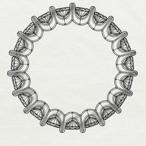 WhatsApp Image 2025-08-29 at 11.39.18